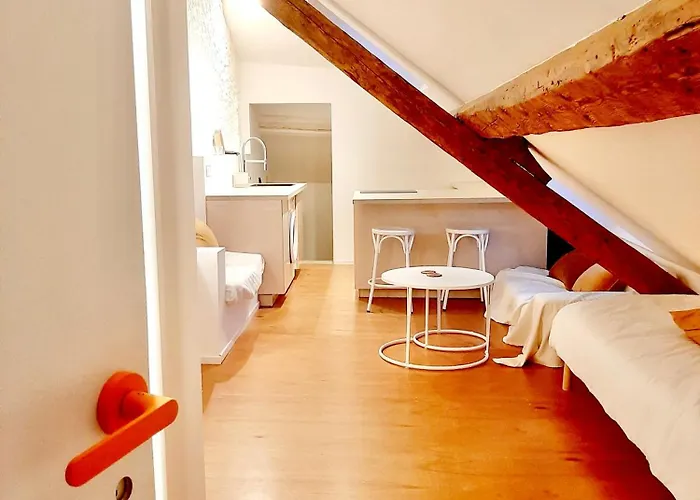 Charmant Studio Rue Pietonne